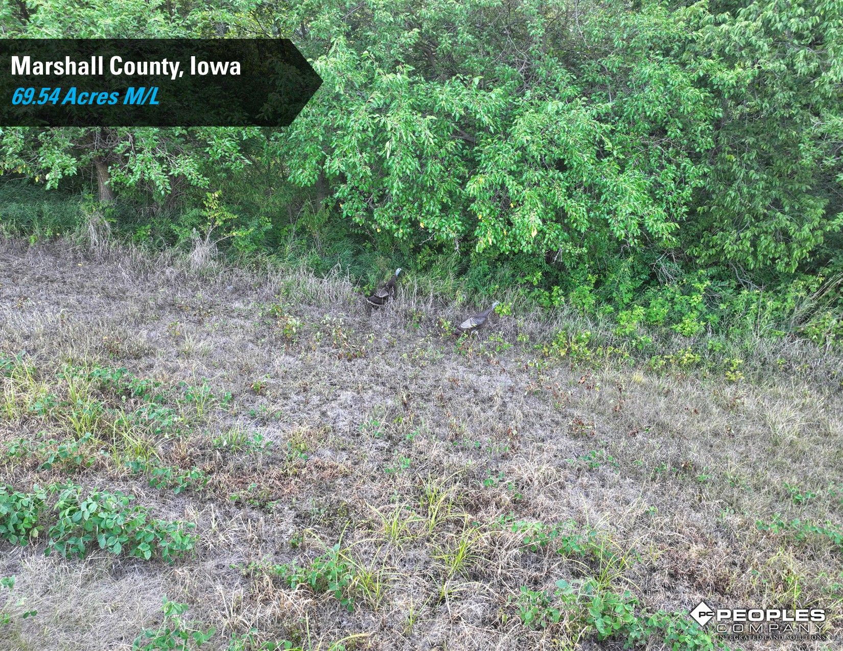 Listing Photo: Marshall-County-Iowa-Online-Land-Auction-Recreational-Property-Smith-Estate (7)